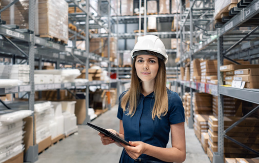 Servicios de integración técnica Servicios de integración técnica